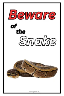 Beware of the Snake Sing - Boa - 30cm x 20cm x1mm Wide