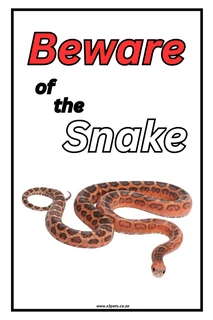 Beware of the Snake Sing (30cm x 20cm x1mm Wide )