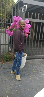 I&#39;m Andrew from Malawi am looking garden job part-time  my number 0676179000