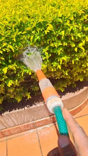 Hi everyone I&#39;m Andrew from Malawi am looking garden my number 0676179000