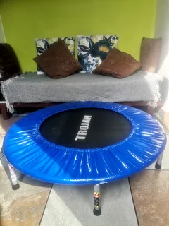 Trojan Trampoline or rebounder, energize your lymphatic system, perfect for knee and joint pains!