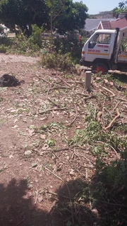 Tree felling and truck hire