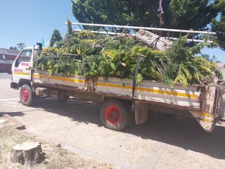 Tree felling and truck hire