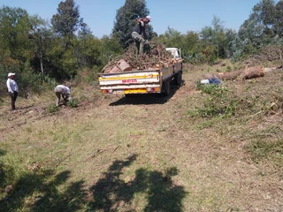 Tree felling services and truck hire