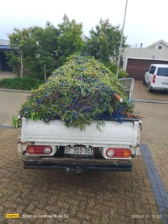 Junk waste removal and garden refused