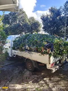 Garbage waste and garden refused removals