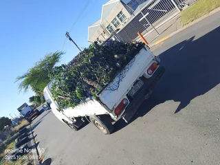 Garden refused and furniture