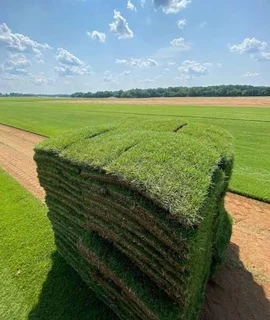Selling grass