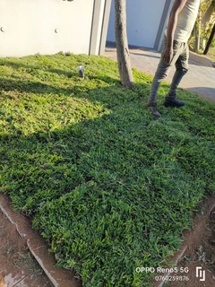 Taring, instant lawn, concrete, retaining wall and precast wall