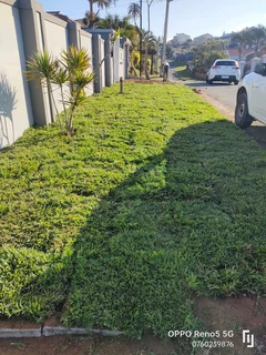 Taring, instant lawn, concrete, retaining wall and precast wall