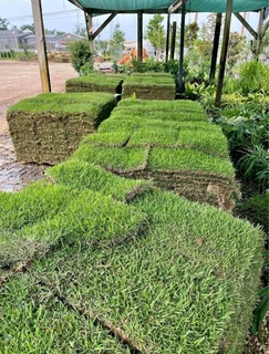 Selling grass