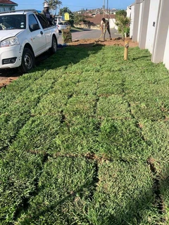 Selling grass