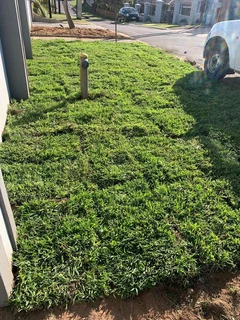 Selling grass
