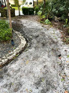 Selling evergreen grass