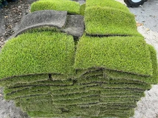 Selling evergreen grass