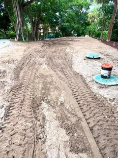 Selling evergreen grass