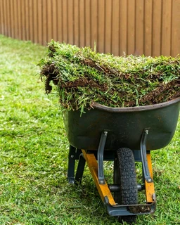 Selling evergreen grass
