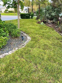 Selling evergreen grass