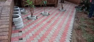 Brick paving
