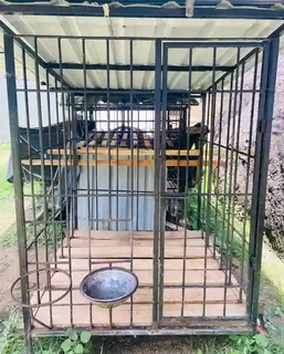 Dog  cage