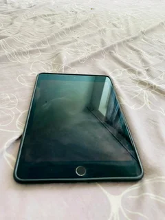 Ipad mini 5 wifi+cellular 256gb storage