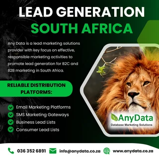 Expert Lead Generation Solutions For South African Businesses