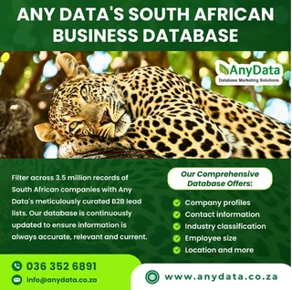 B2B and B2C Marketing Services in South Africa with Any Data