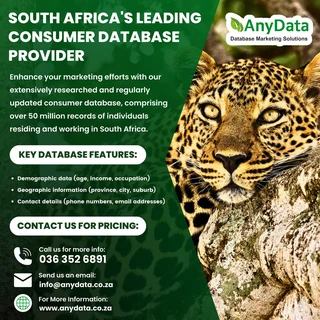 B2B and B2C Marketing Services in South Africa with Any Data