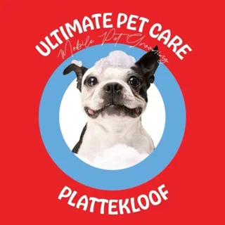 Driver & Grooming Assistant For Mobile Pet Grooming Company