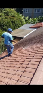 Painting and Home Maintenance