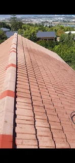 Painting and Home Maintenance