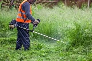 Garden Service / Plot Clearing Company