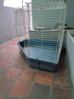 rabbit cage