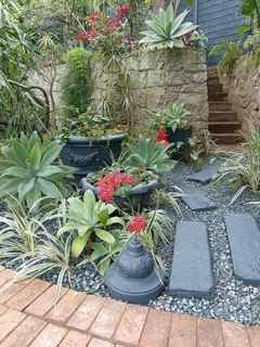 looking for any house jobs