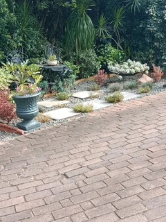 Looking for any house work