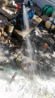 Wellpoint and borehole installation