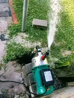 Wellpoint and borehole installation