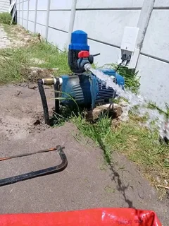 Wellpoint and borehole installation