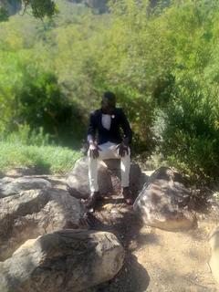 Painter and garder available