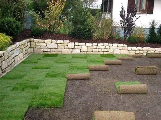 ROLL ON LAWN FRESH GRASS FROM THE FARM,