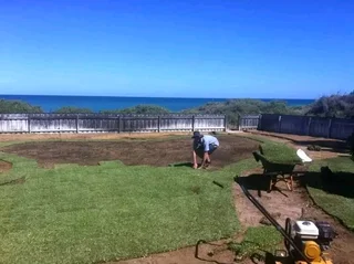 ROLL ON LAWN FRESH GRASS FROM THE FARM,