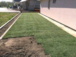 ROLL ON LAWN FRESH GRASS FROM THE FARM,