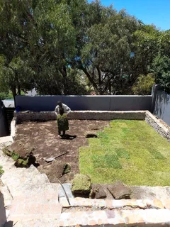 ROLL ON LAWN FRESH GRASS FROM THE FARM,