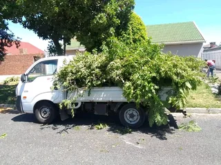 Removals and delivery service