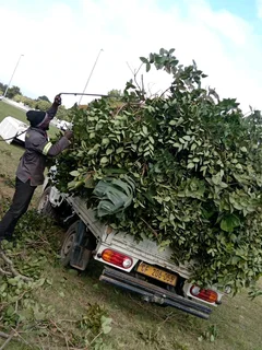 #RUBBISH #COLLECTION #COMPANY