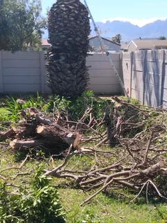 CAPE TOWN TREE FELLING::GARDEN REFUSE REMOVAL::YARD CLEANING SERVICES::STUMP REMOVAL