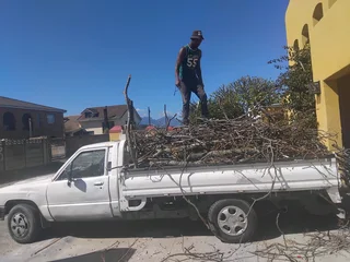 TREE FELLING, LANDSCAPING SERVICES, YARD CLEANING, PLOT CLEANING