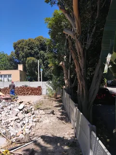 EMERGENCY TREE FELLING **GARDEN REFUSE REMOVAL **YARD CLEANING SERVICES **PLOT CLEANING