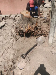 CHEAPEST PRICE FOR GARDEN REFUSE REMOVAL *GARAGE CLEANING *TREE FELLING *