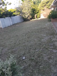 CHEAPEST PRICE FOR GARDEN REFUSE REMOVAL *GARAGE CLEANING *TREE FELLING *